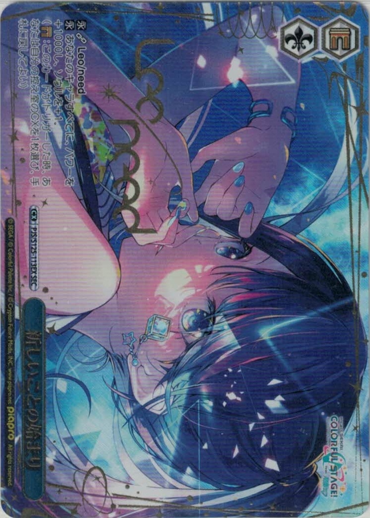 新しいことの始まり(SEC)(PJS/S125-113EX)