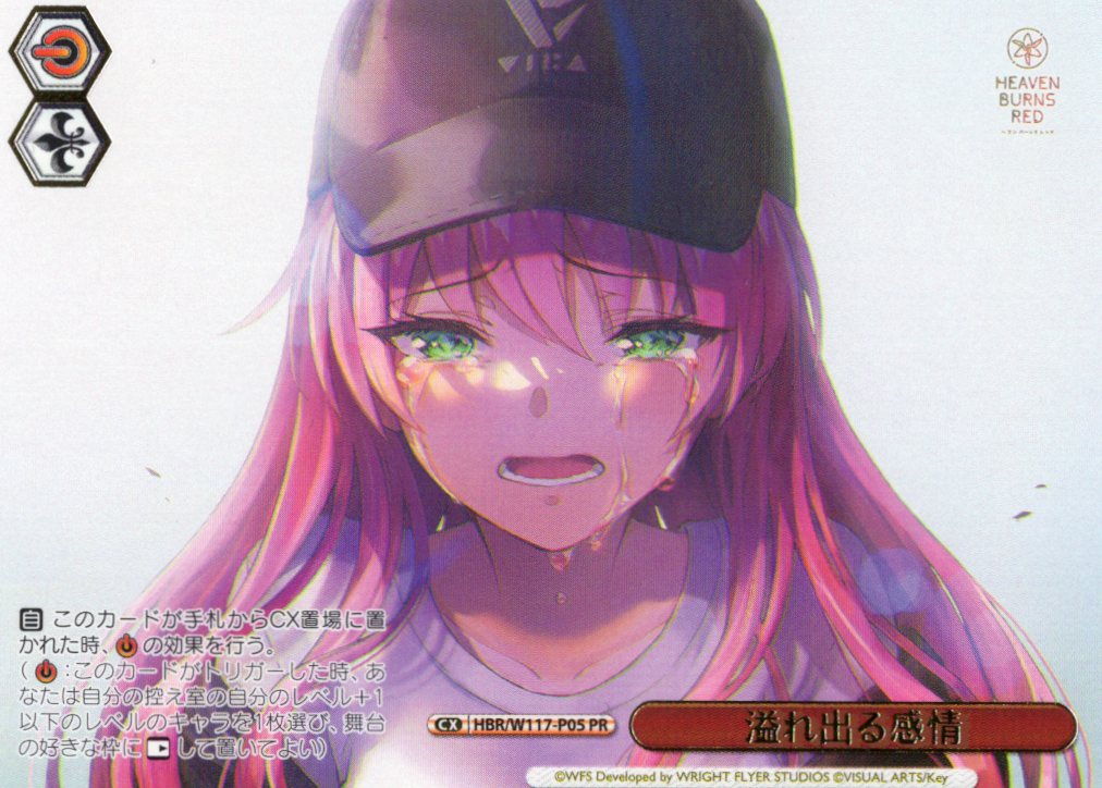 溢れ出る感情(PR)(HBR/W117-P05)