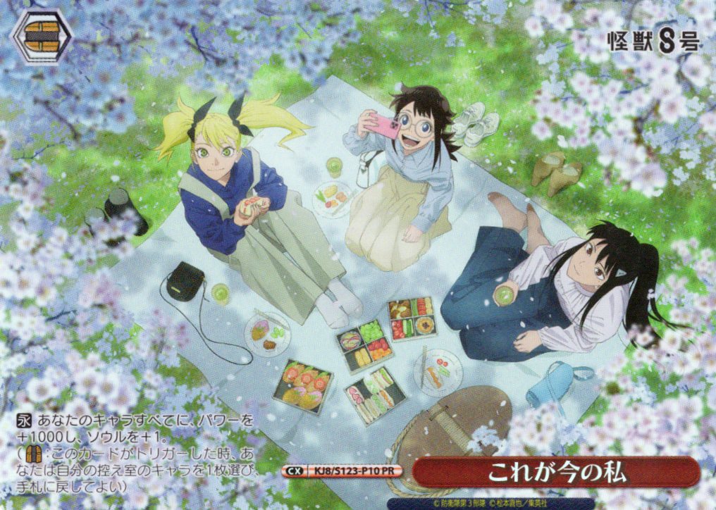 これが今の私(PR)(KJ8/S123-P10)