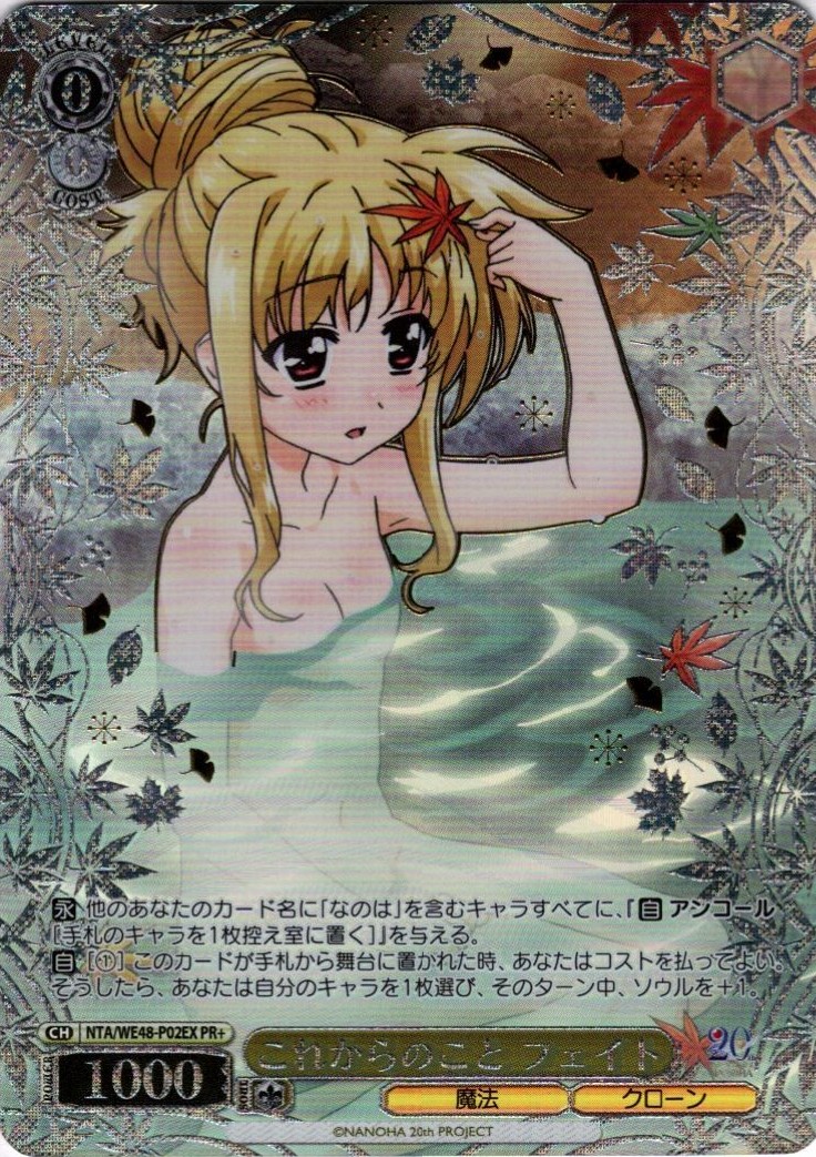 これからのこと フェイト(PR+/未開封)(NTA/WE48-P02EX)