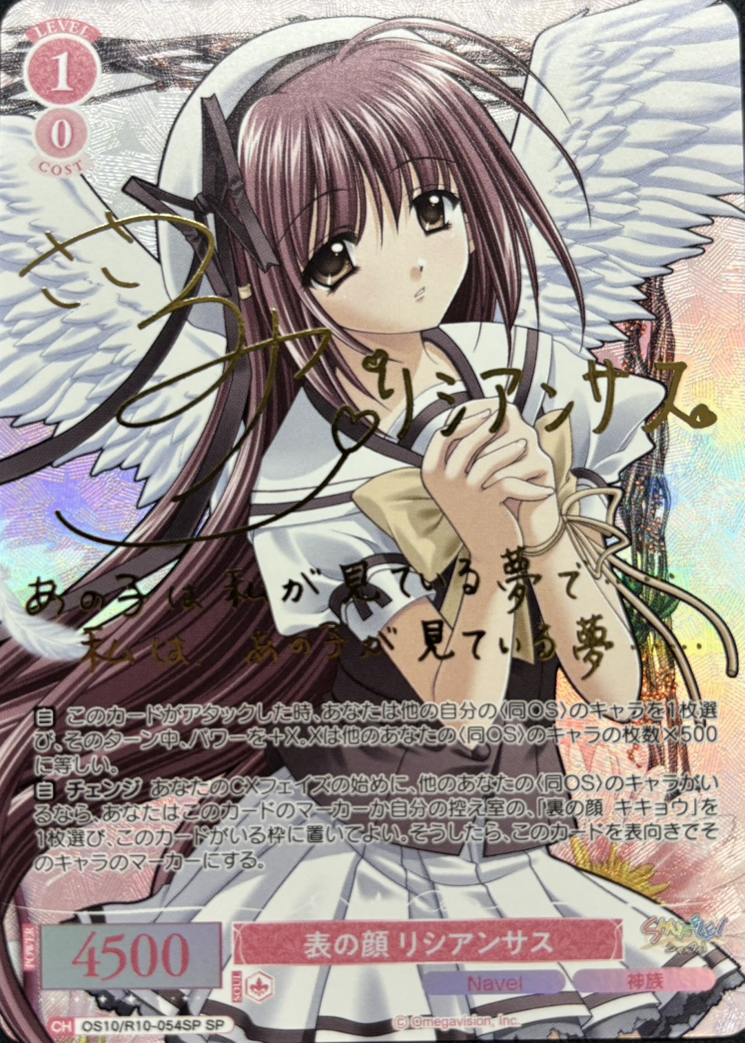 表の顔 リシアンサス(OS10/R10-054SP)(SP)