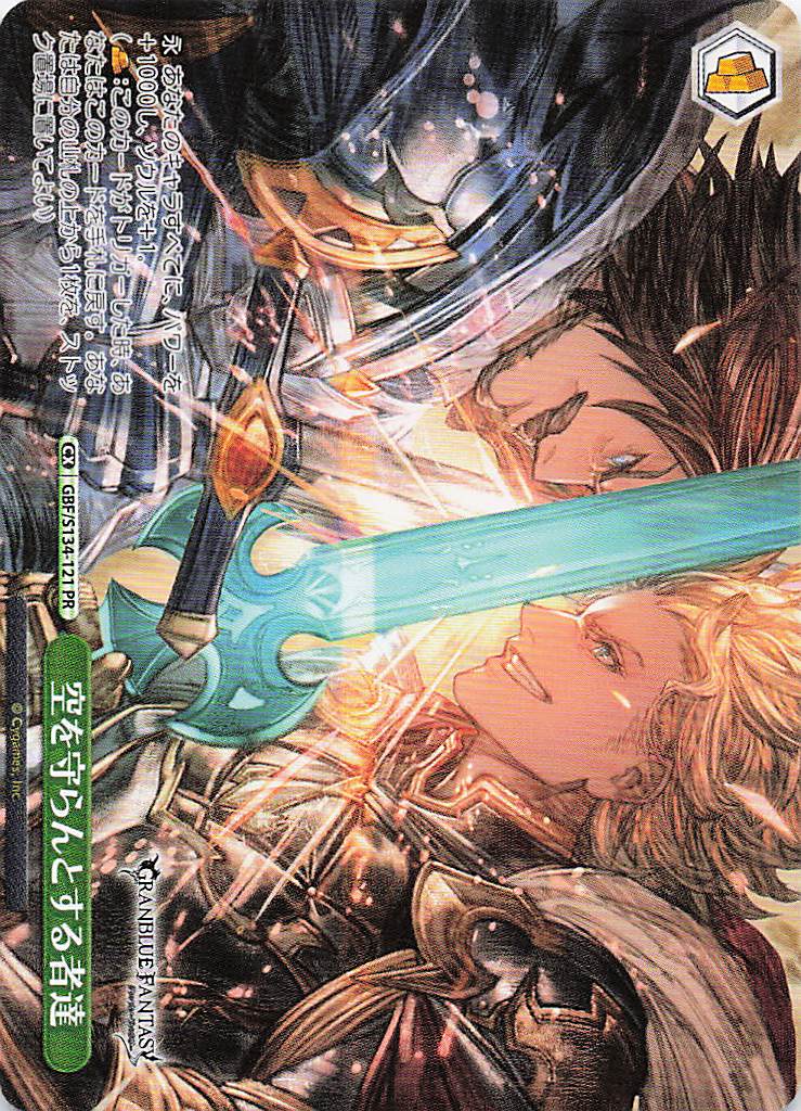 空を守らんとする者達(PR)(GBF/S134-121)