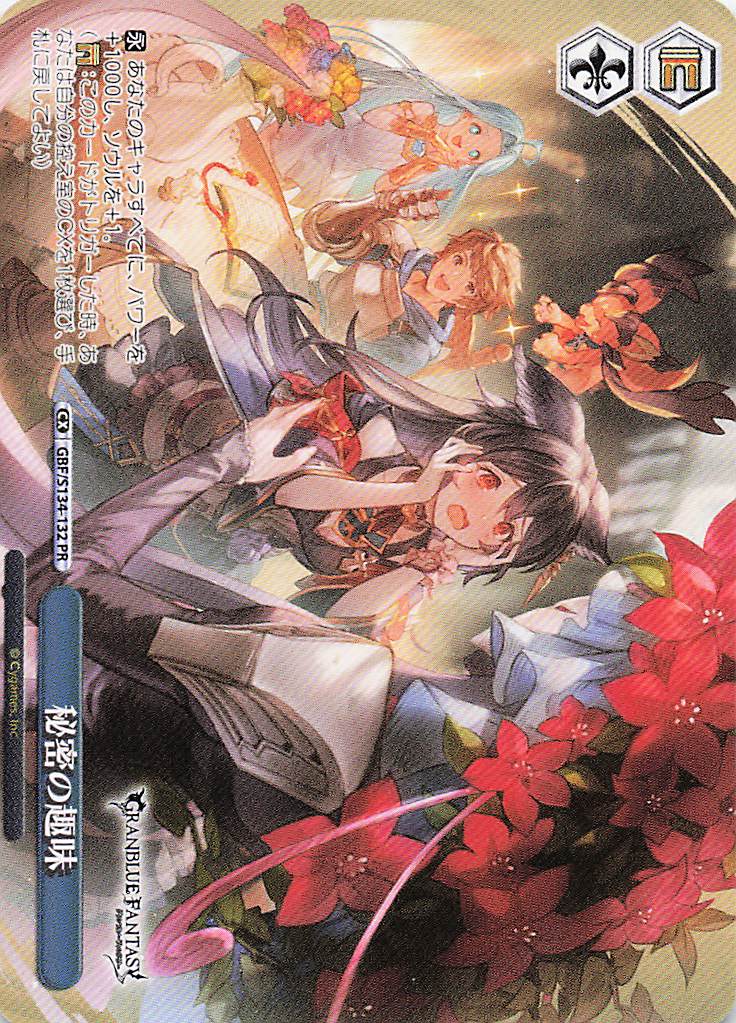 秘密の趣味(PR)(GBF/S134-132)