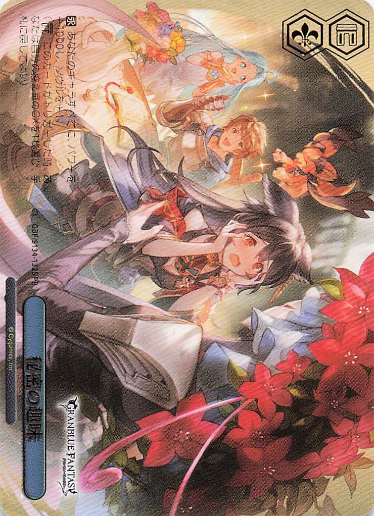 秘密の趣味(PR)(GBF/S134-132S)