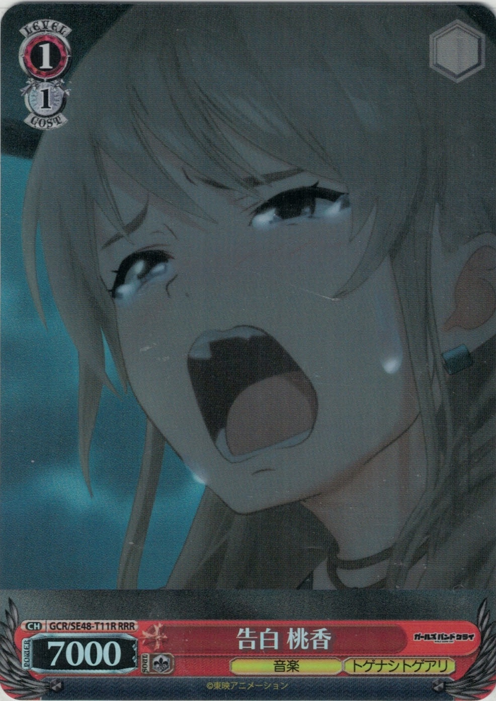 告白 桃香(RRR)(GCR/SE48-T11R)