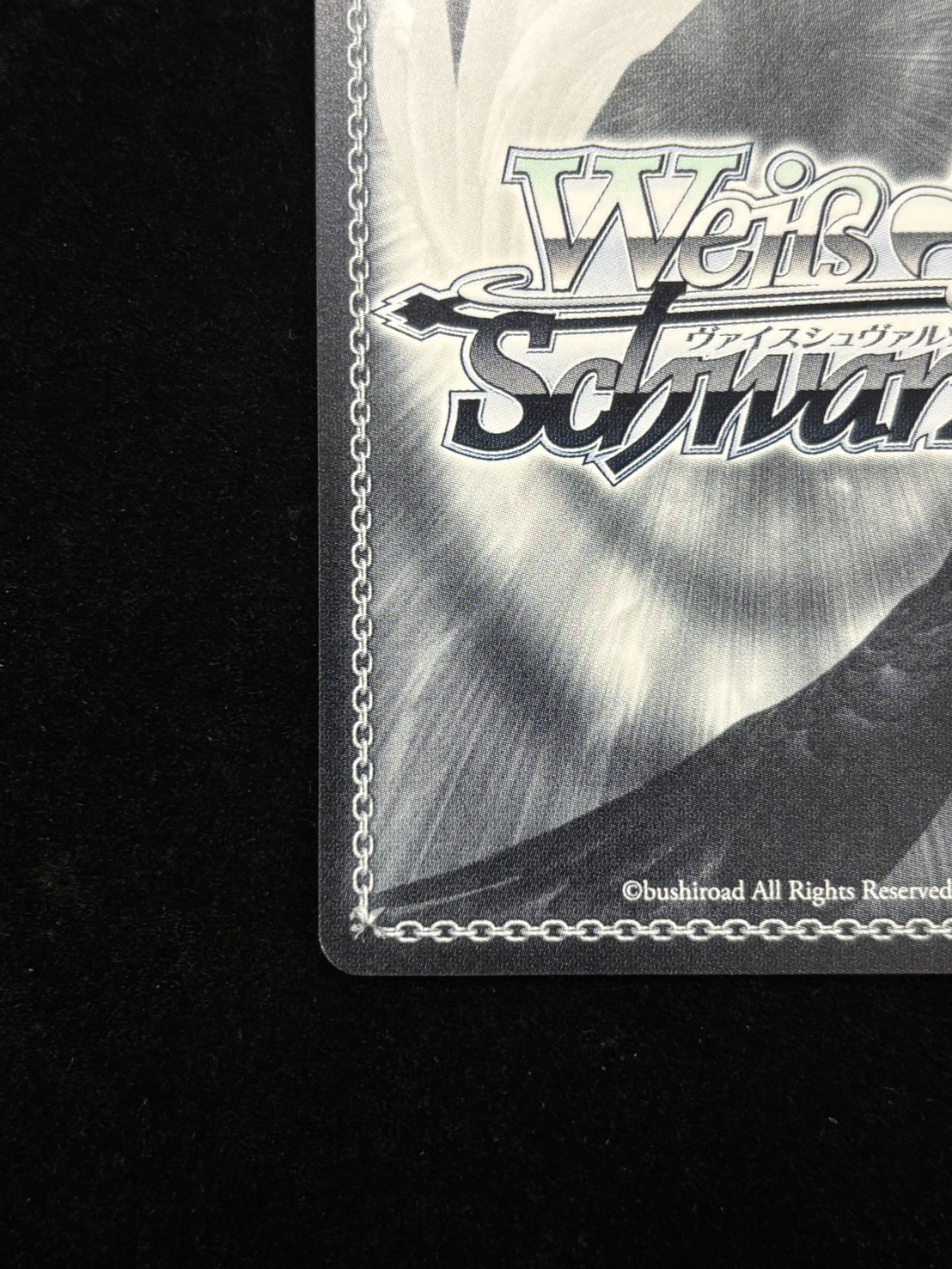 みんなからの人気者(AGR)(KMS/W133-029A)