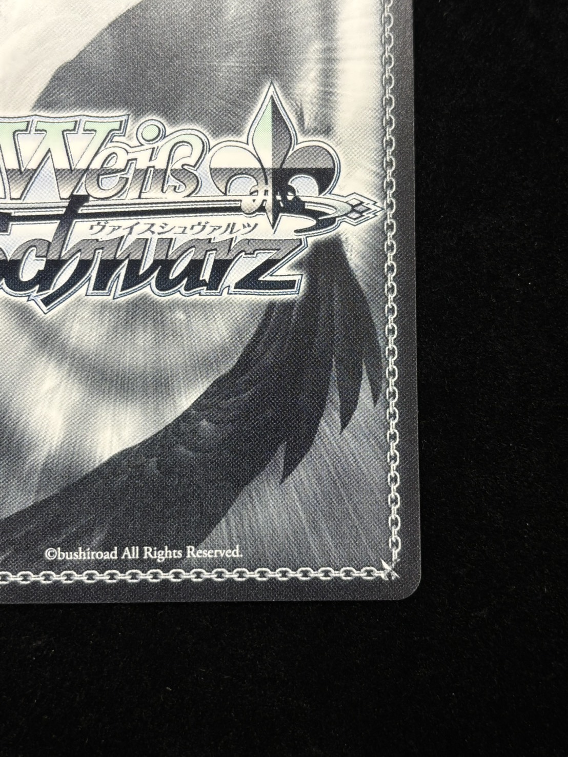 みんなからの人気者(AGR)(KMS/W133-029A)