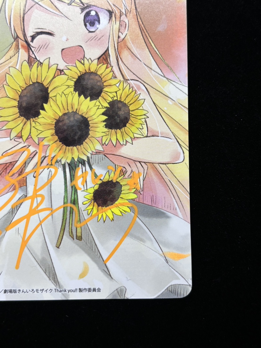 みんなからの人気者(AGR)(KMS/W133-029A)