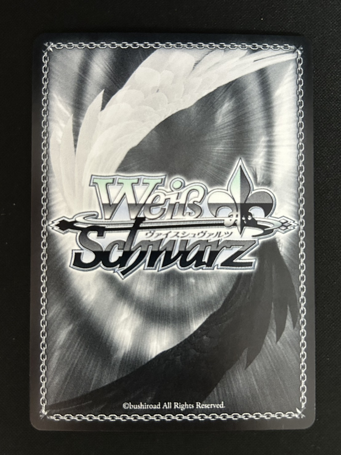 ぜったい追いついてやる！(SIR)(GIM/W124-032SIR)