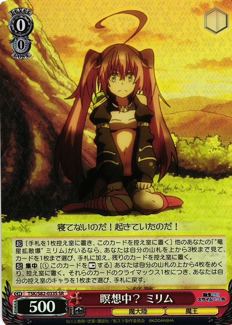 【状態B】瞑想中? ミリム(TSK/S82-033S)