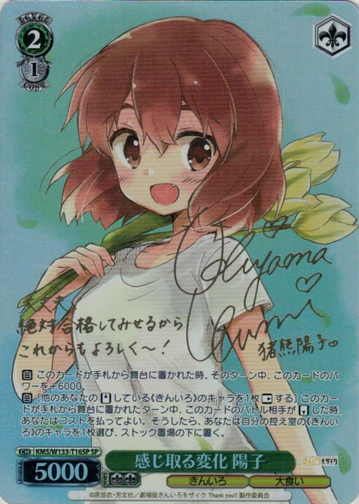 感じ取る変化 陽子(SP)(KMS/W133-T16SP)