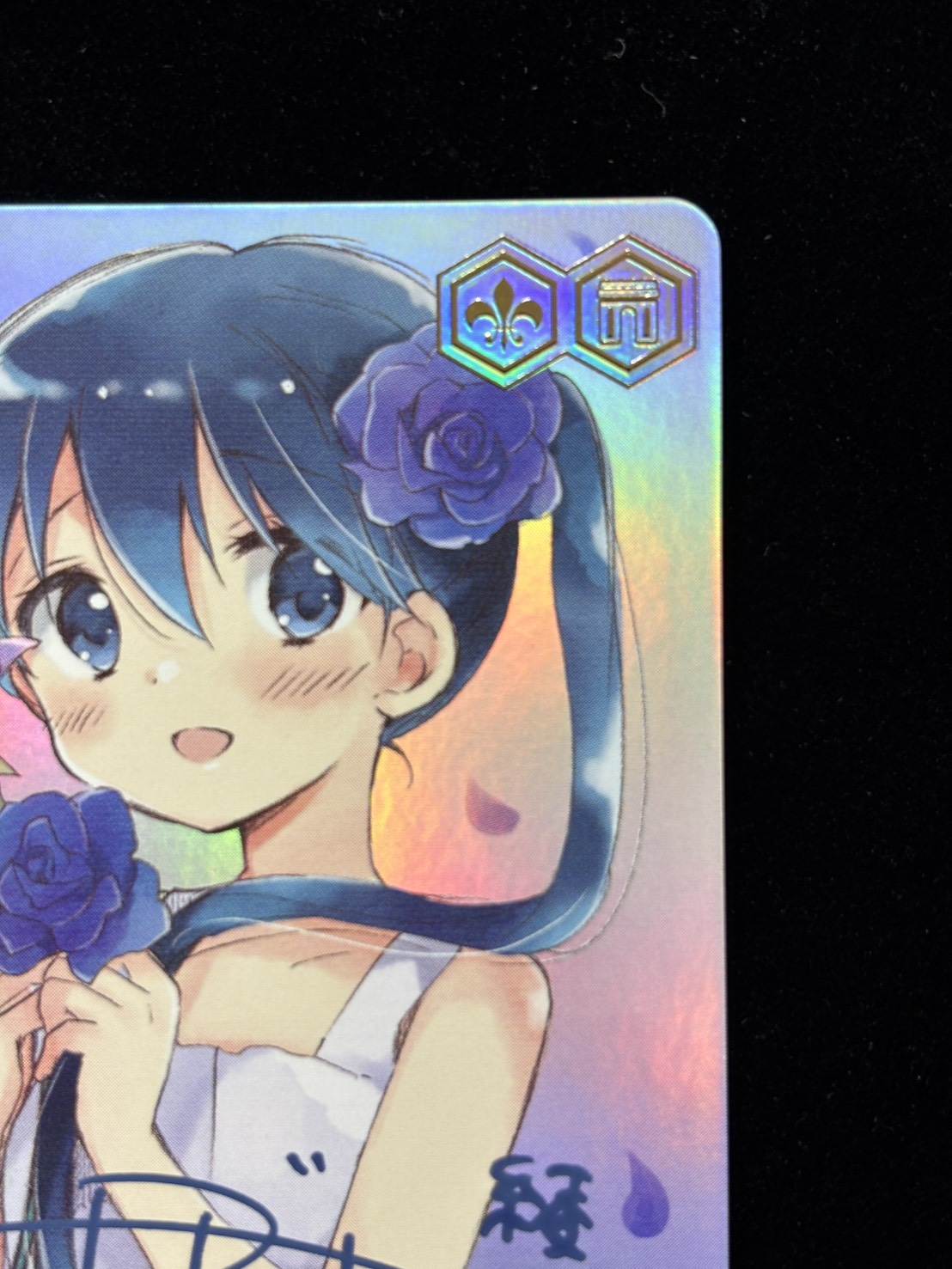 聡明なるツインテール(AGR)(KMS/W133-099A)