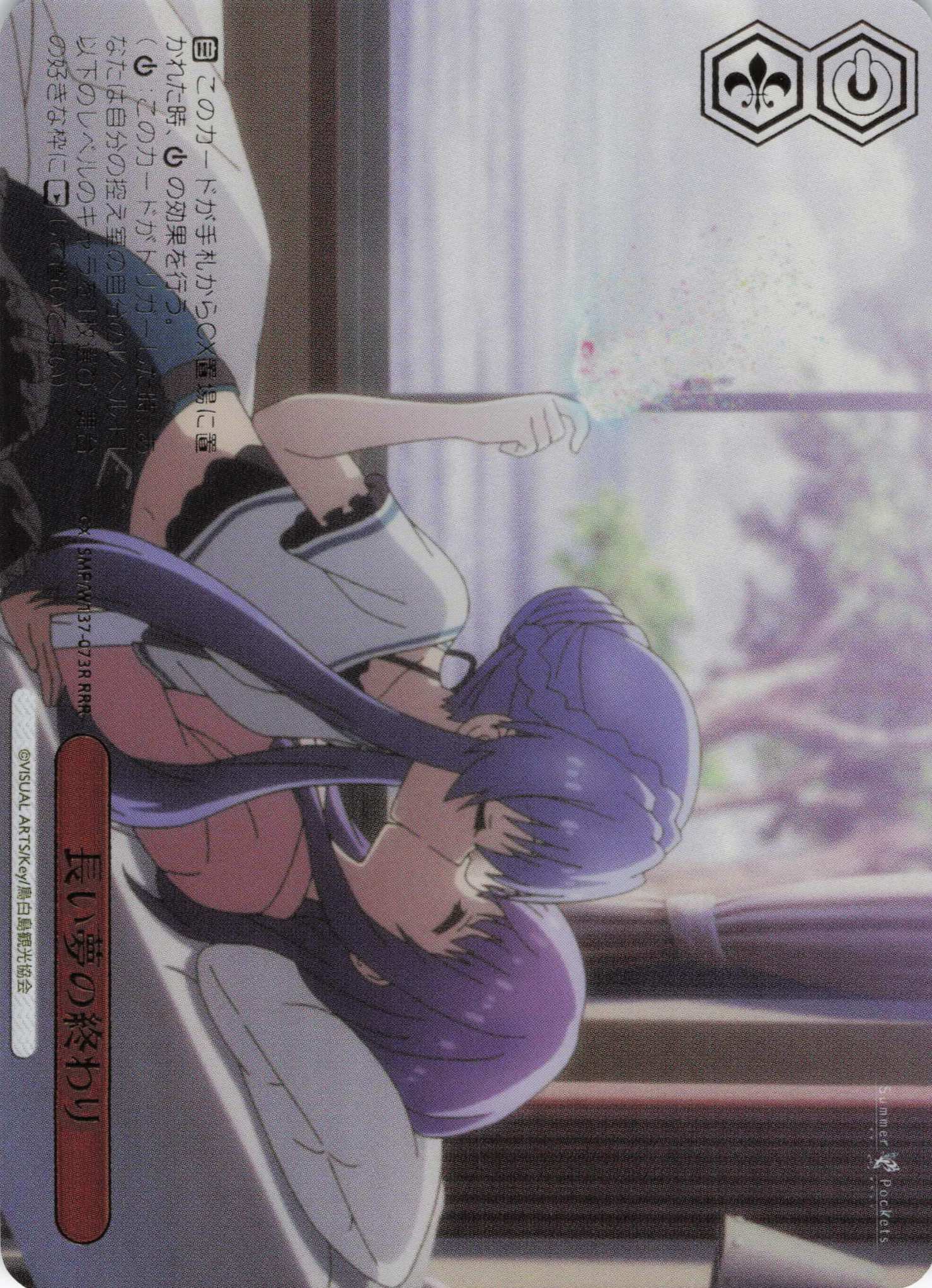 長い夢の終わり(RRR)(SMP/W137-073R)