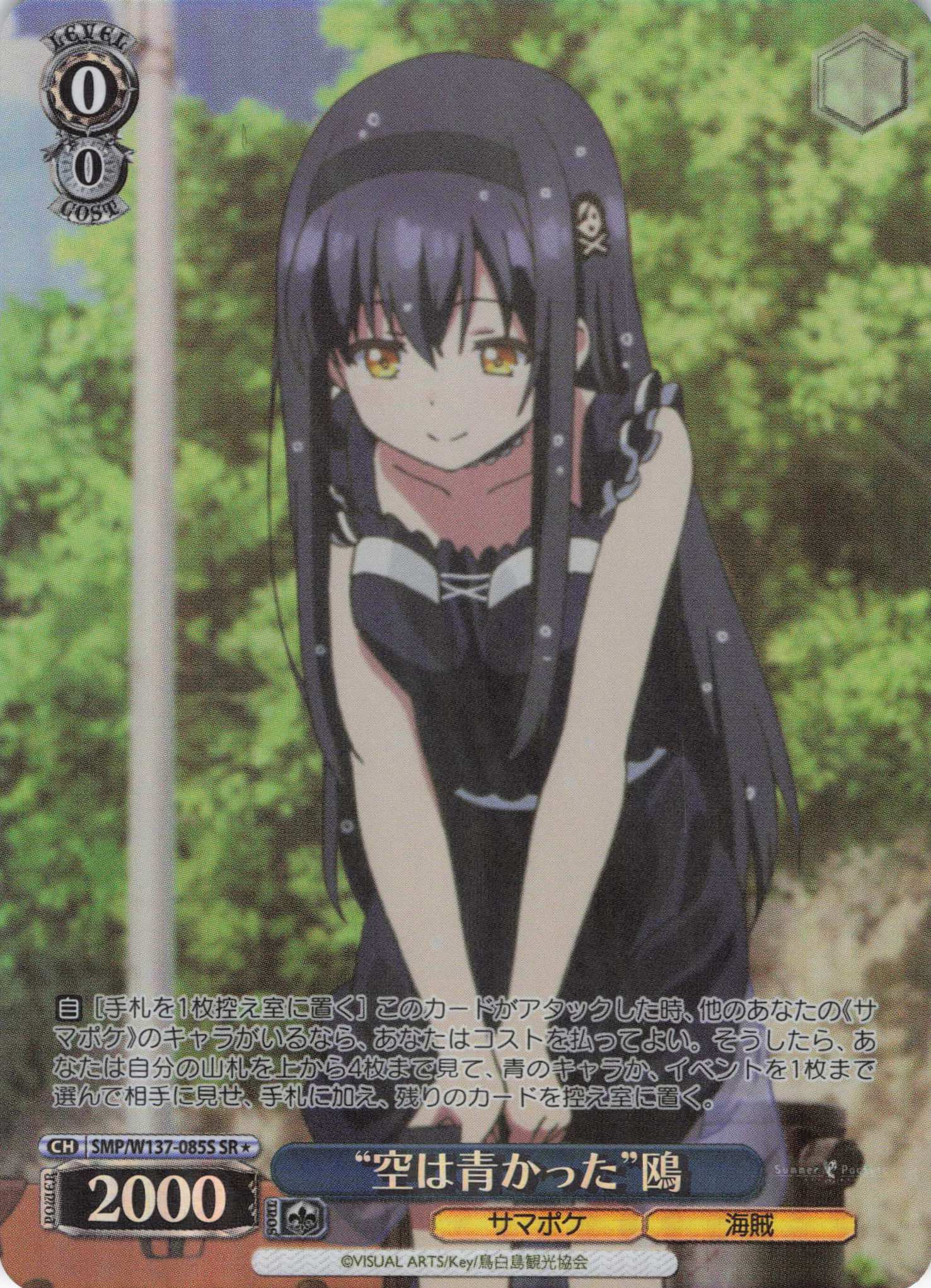 “空は青かった”鴎(SR)(SMP/W137-085S)