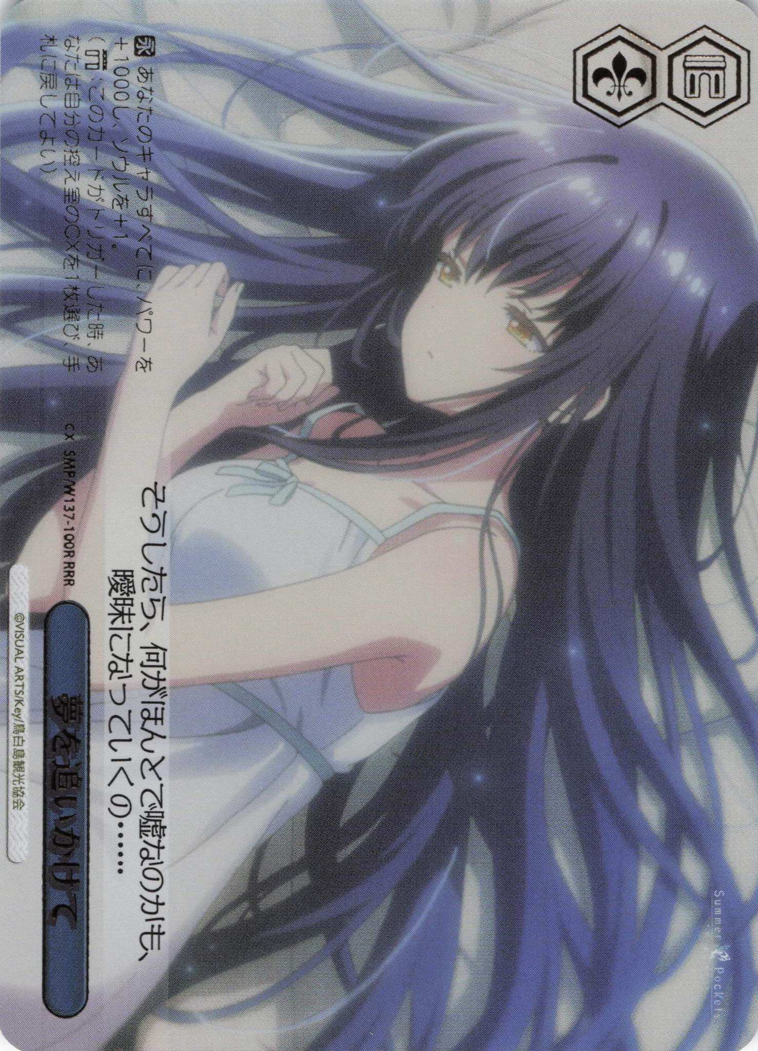 夢を追いかけて(RRR)(SMP/W137-100R)