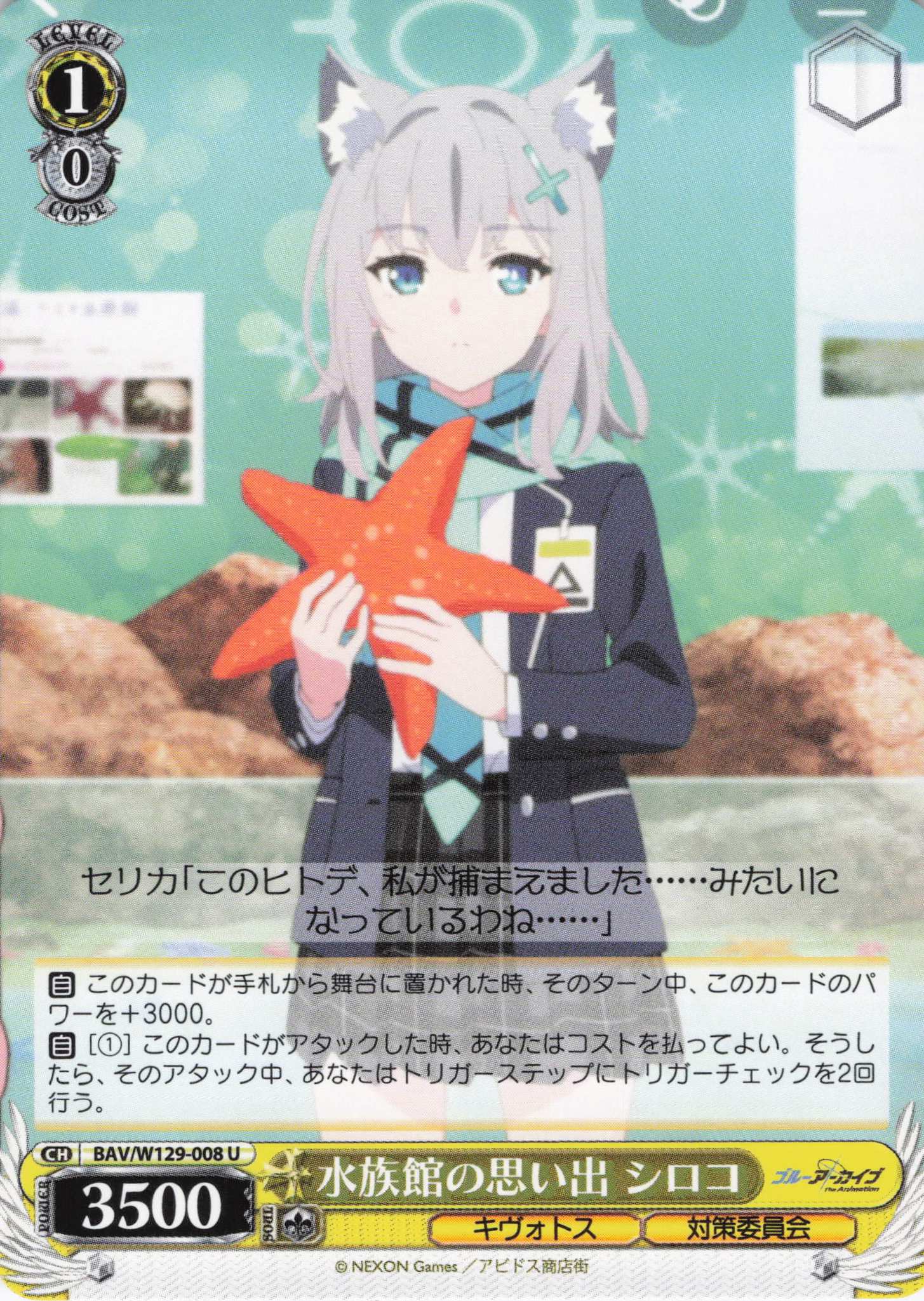 水族館の思い出 シロコ(U)(BAV/W129-008)