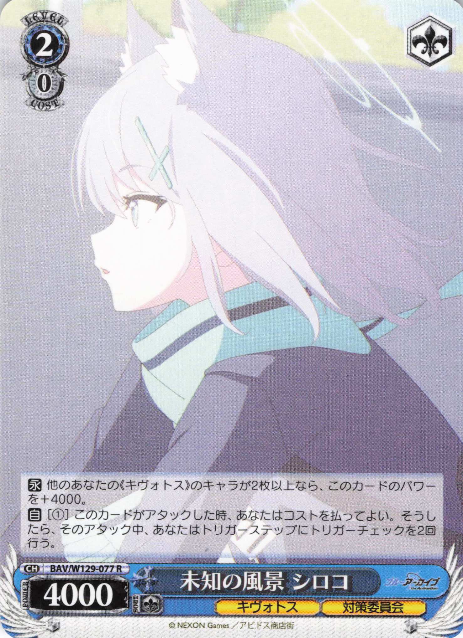 未知の風景 シロコ(R)(BAV/W129-077)