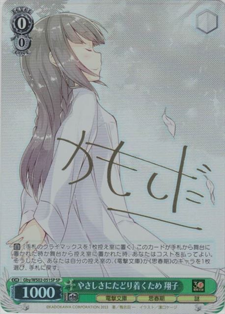 やさしさにたどり着くため 翔子(SP)(Gby/WS02-051SP)
