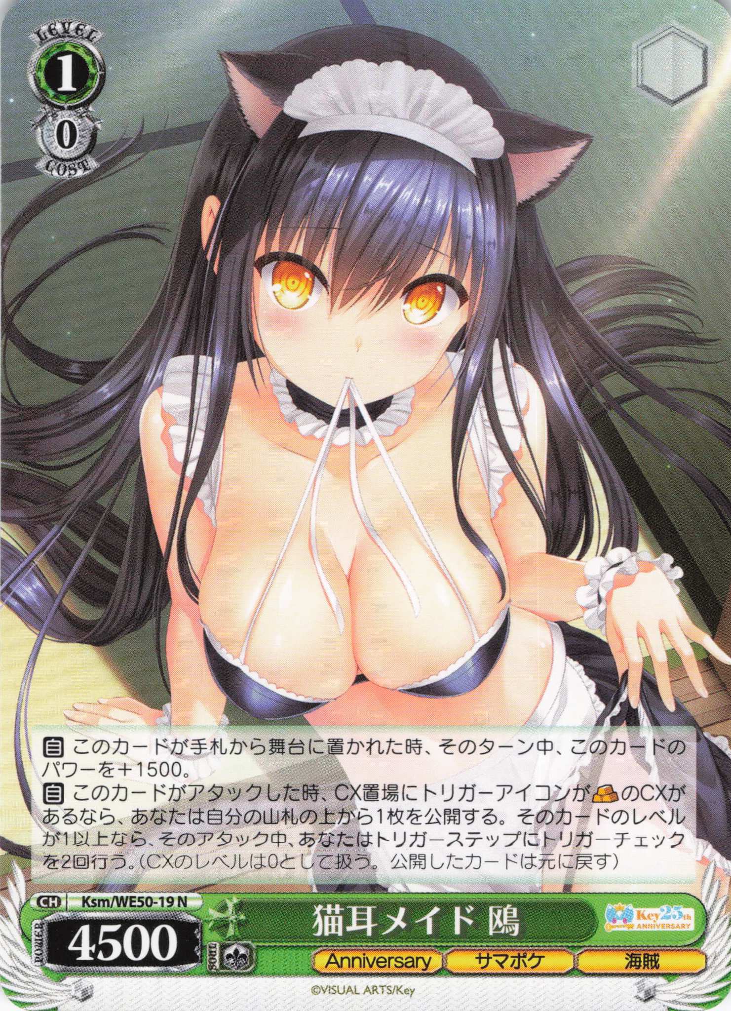 猫耳メイド 鴎(N)(Ksm/WE50-19)