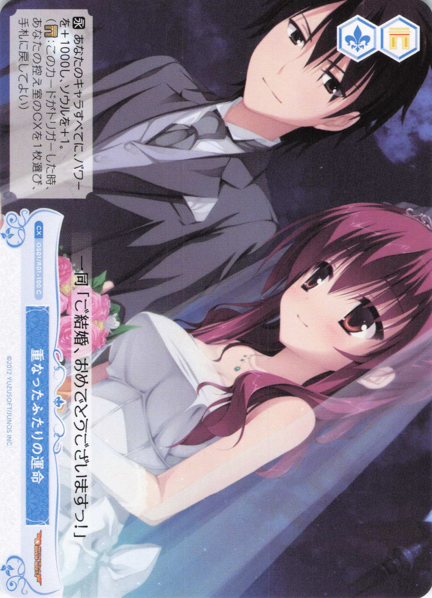 重なったふたりの運命(C)(OS01/R01-100)