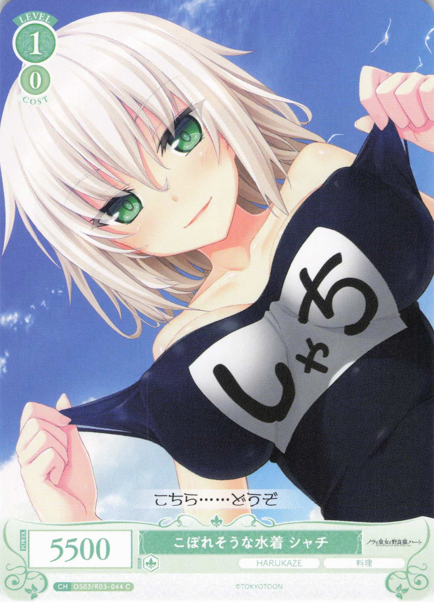 こぼれそうな水着 シャチ(C)(OS03/R03-044)
