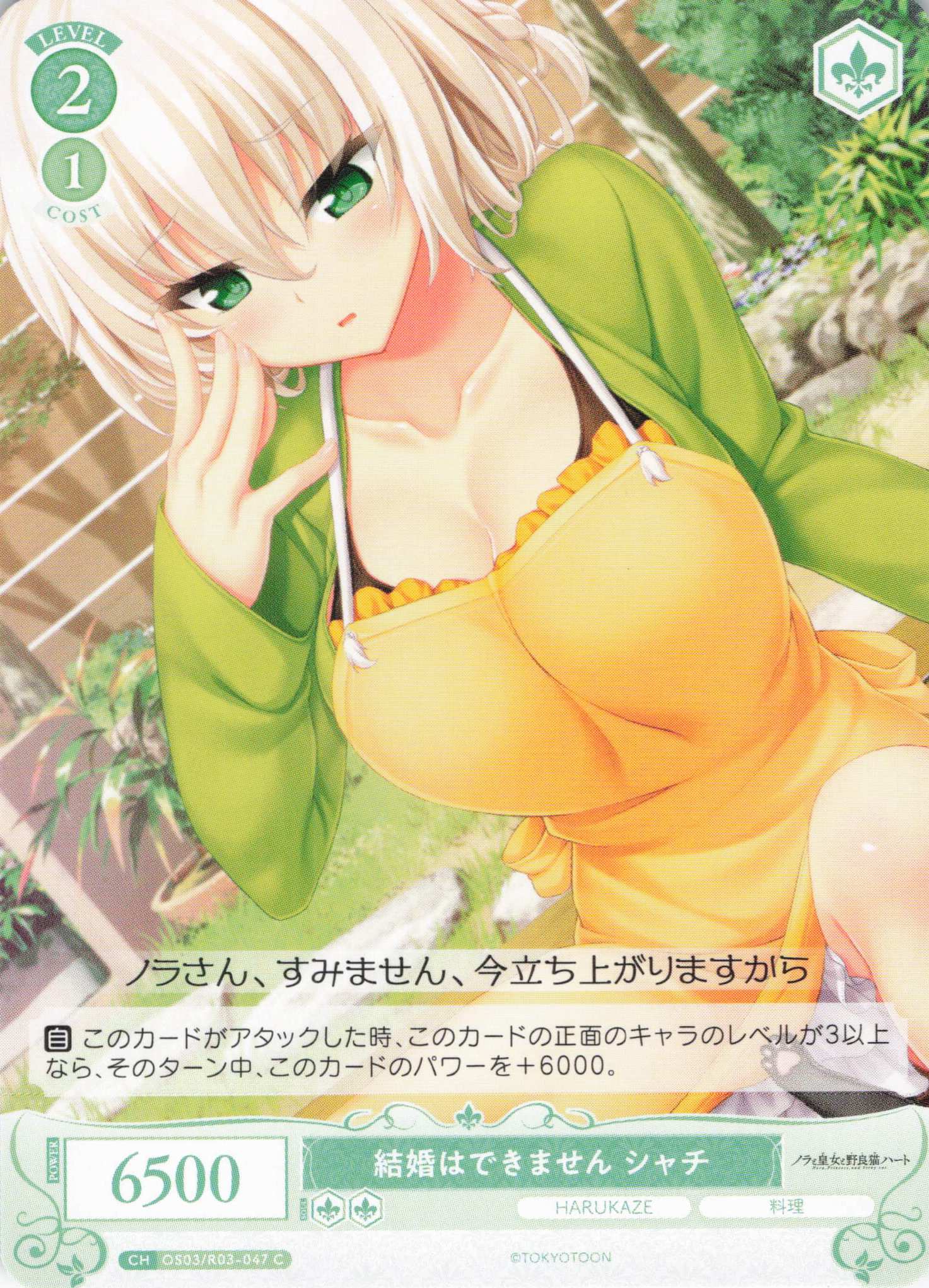 結婚はできません シャチ(C)(OS03/R03-047)