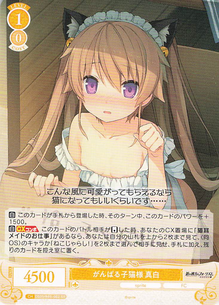 がんばる子猫様 真白(RR)(OS05/R05-002)