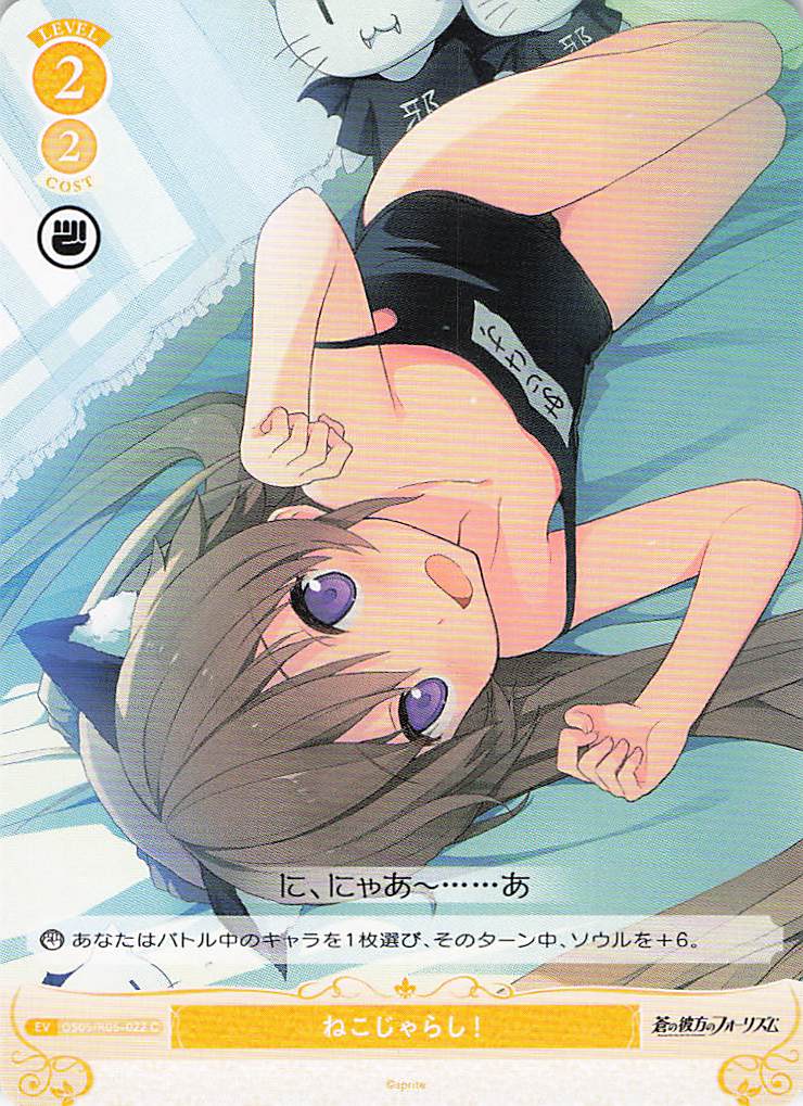 ねこじゃらし！(C)(OS05/R05-022)