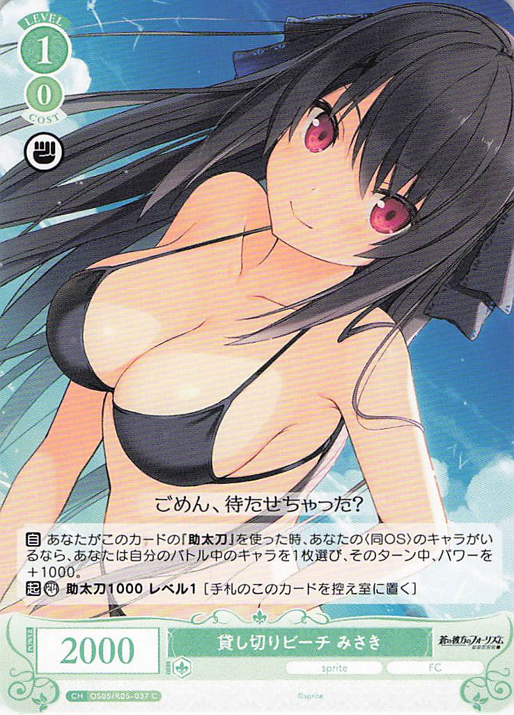 貸し切りビーチ みさき(C)(OS05/R05-037)