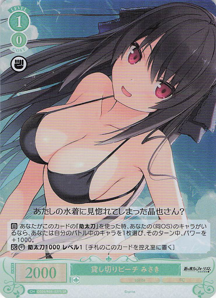 貸し切りビーチ みさき(SR)(OS05/R05-037S)