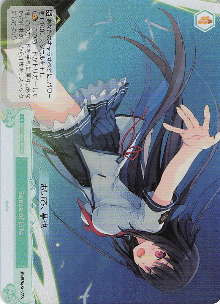 Sense of Life(SR)(OS05/R05-048S)