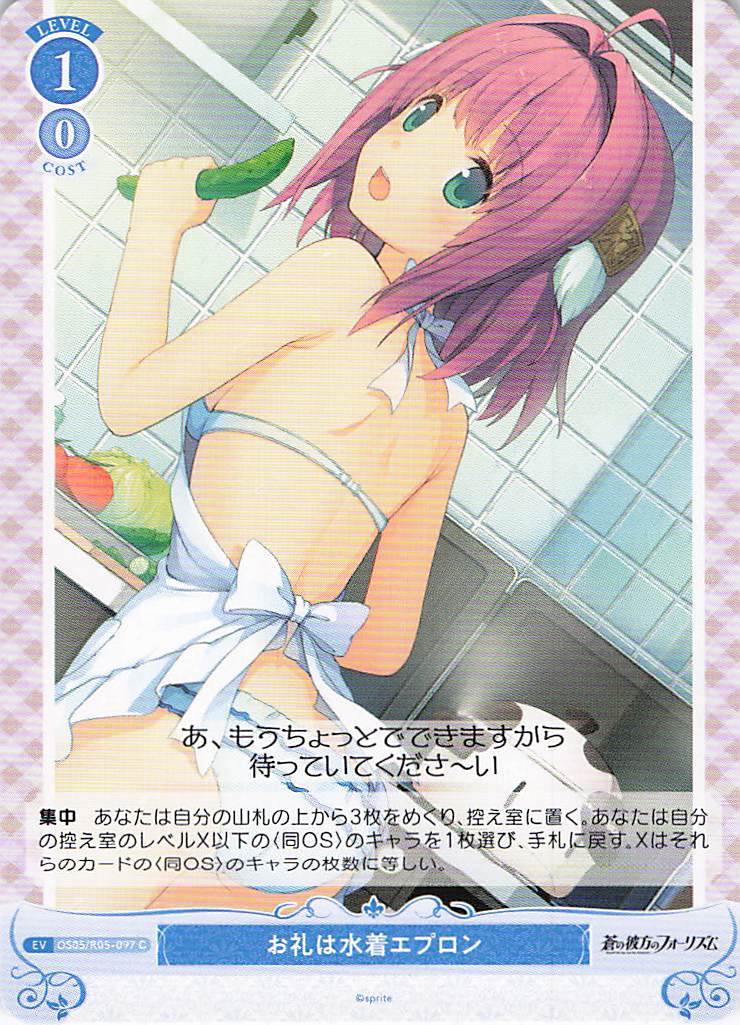 お礼は水着エプロン(C)(OS05/R05-097)