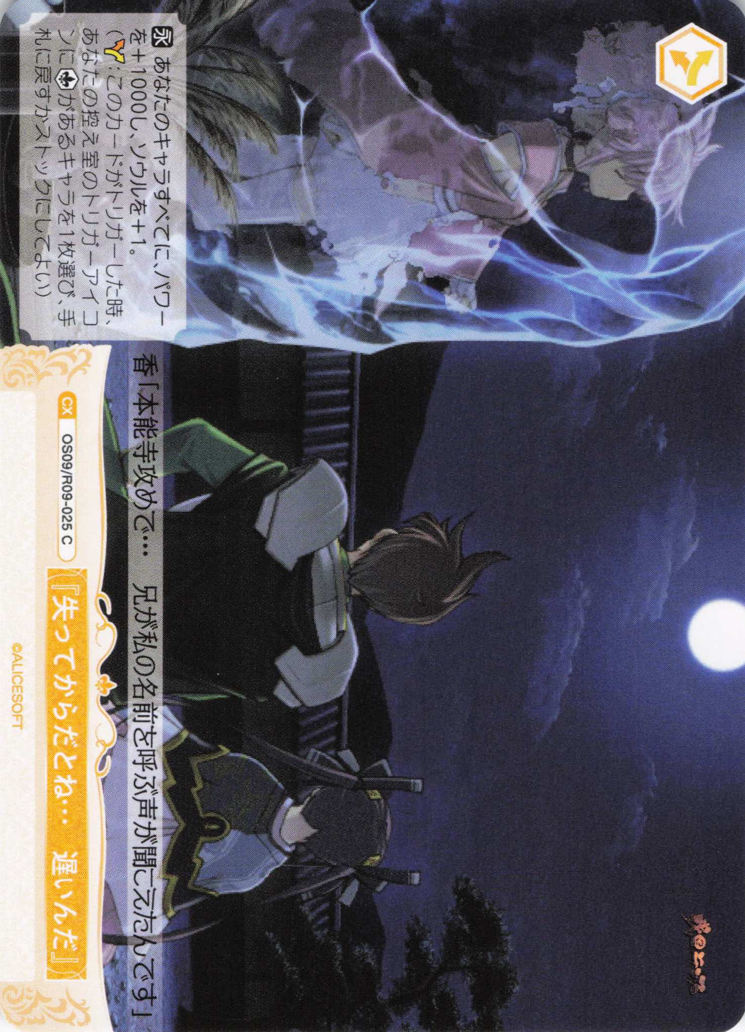『失ってからだとね…　遅いんだ』(C)(OS09/R09-025)