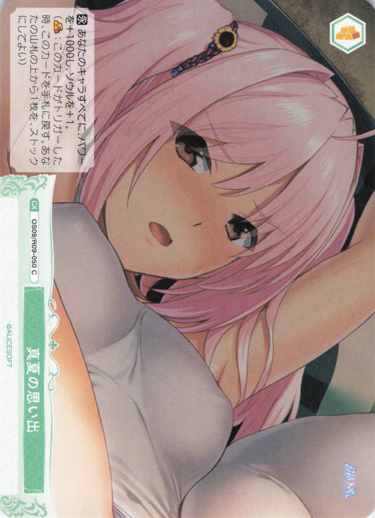 真夏の思い出(C)(OS09/R09-050)