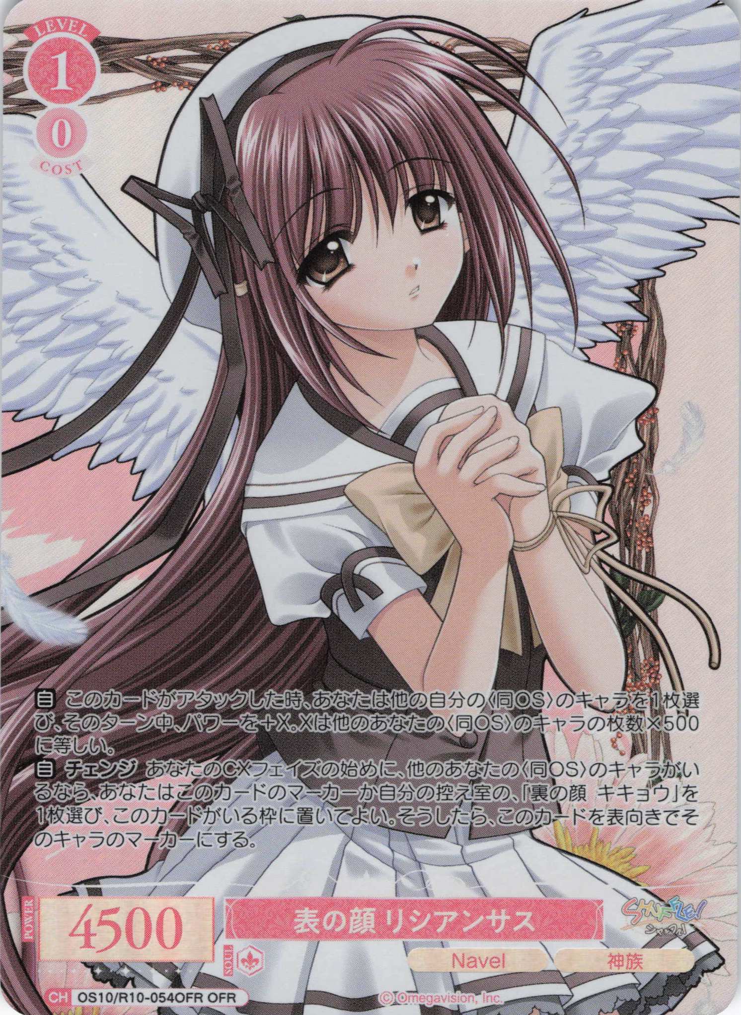 表の顔 リシアンサス(OS10/R10-054OFR)(OFR)