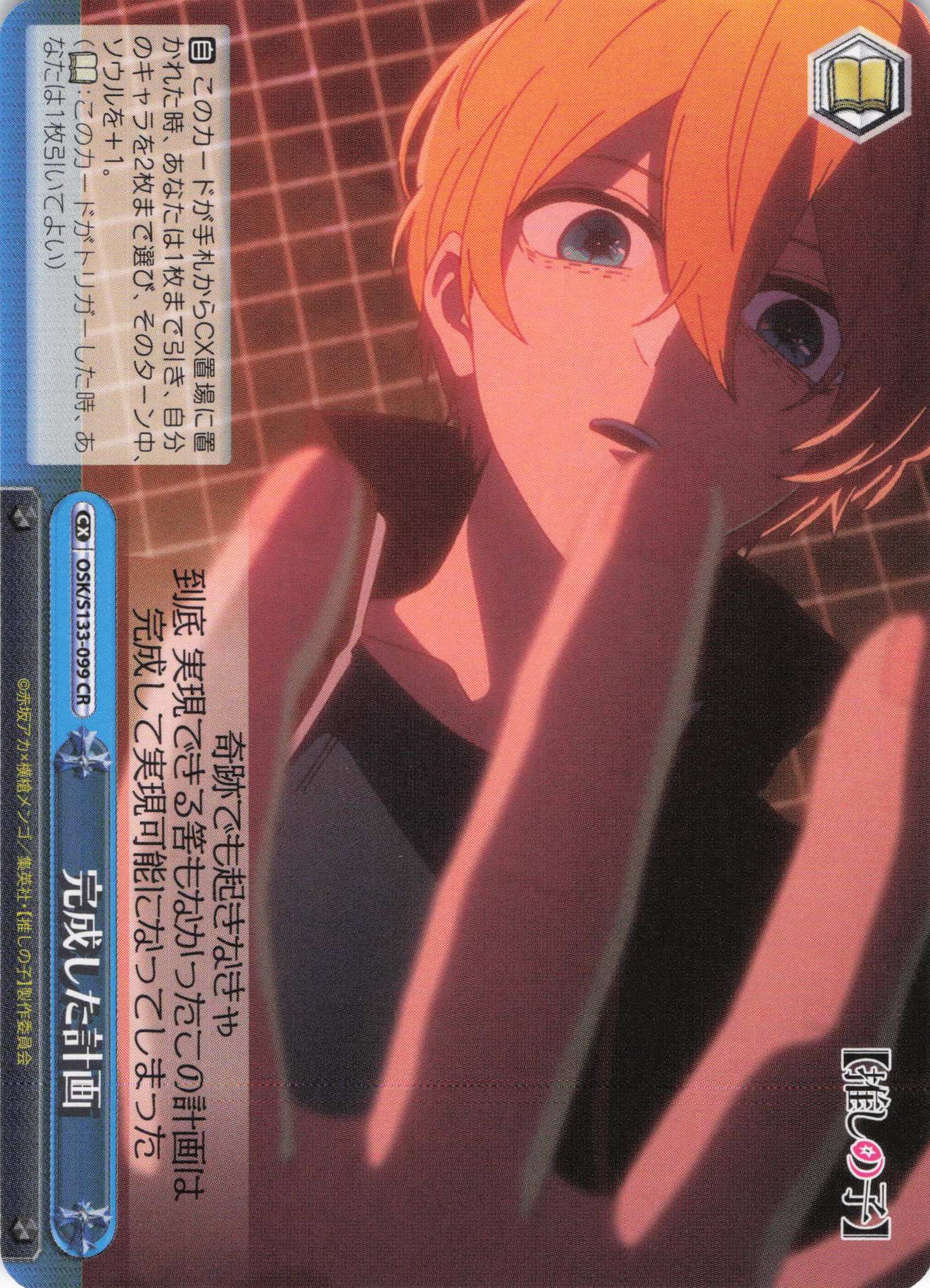 完成した計画(CR)(OSK/S133-099)