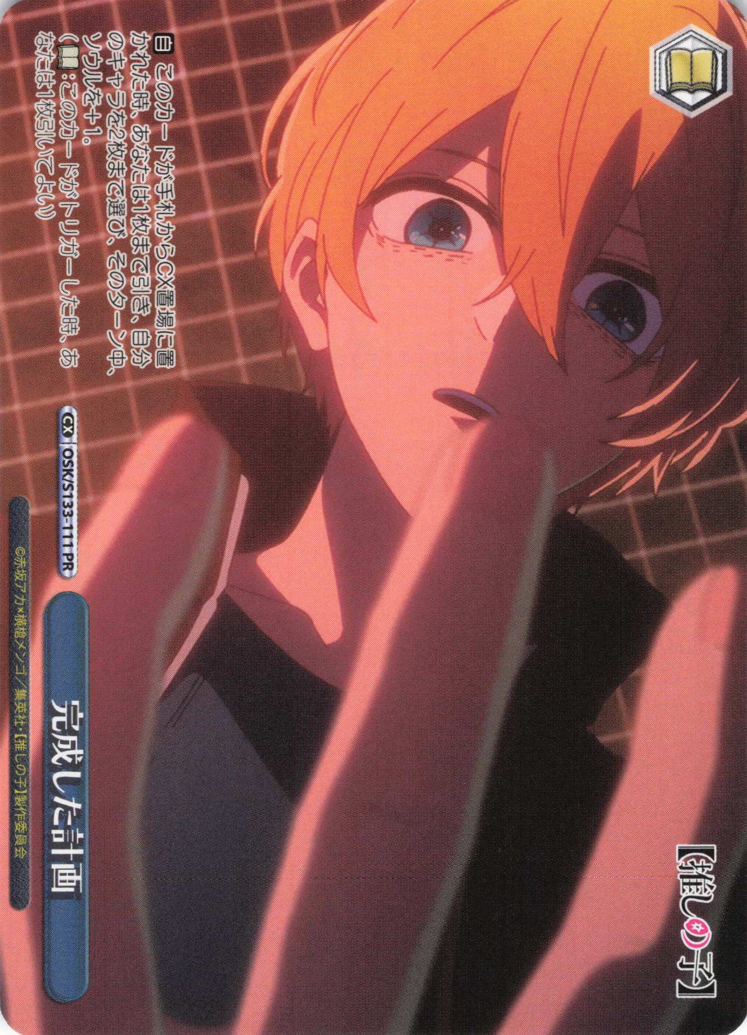 完成した計画(PR)(OSK/S133-111)