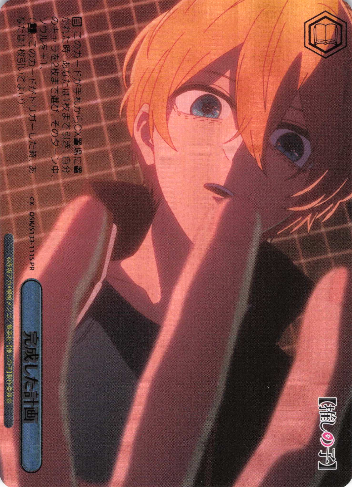 完成した計画(PR)(OSK/S133-111S)
