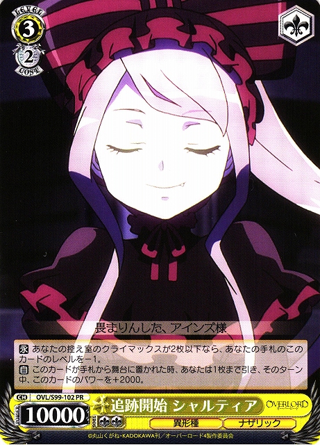 追跡開始 シャルティア(OVL/S99-102)