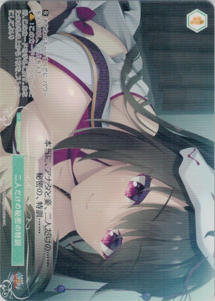 二人だけの秘密の特訓(PR)(OS01/R01-P05)
