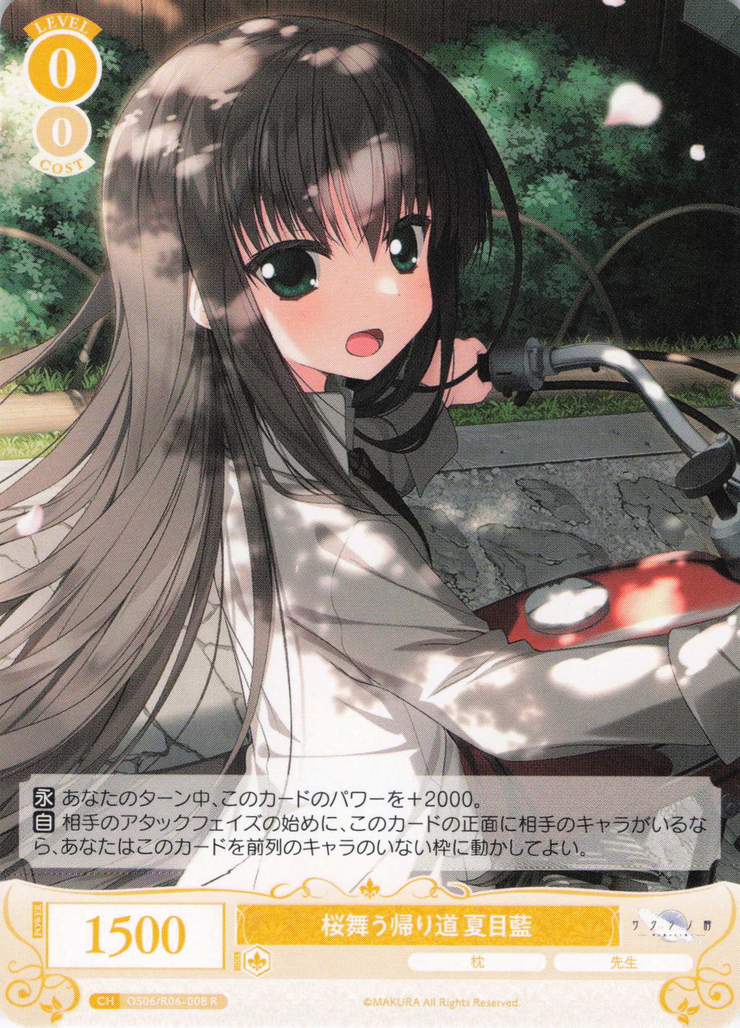 桜舞う帰り道 夏目藍(R)(OS06/R06-008)