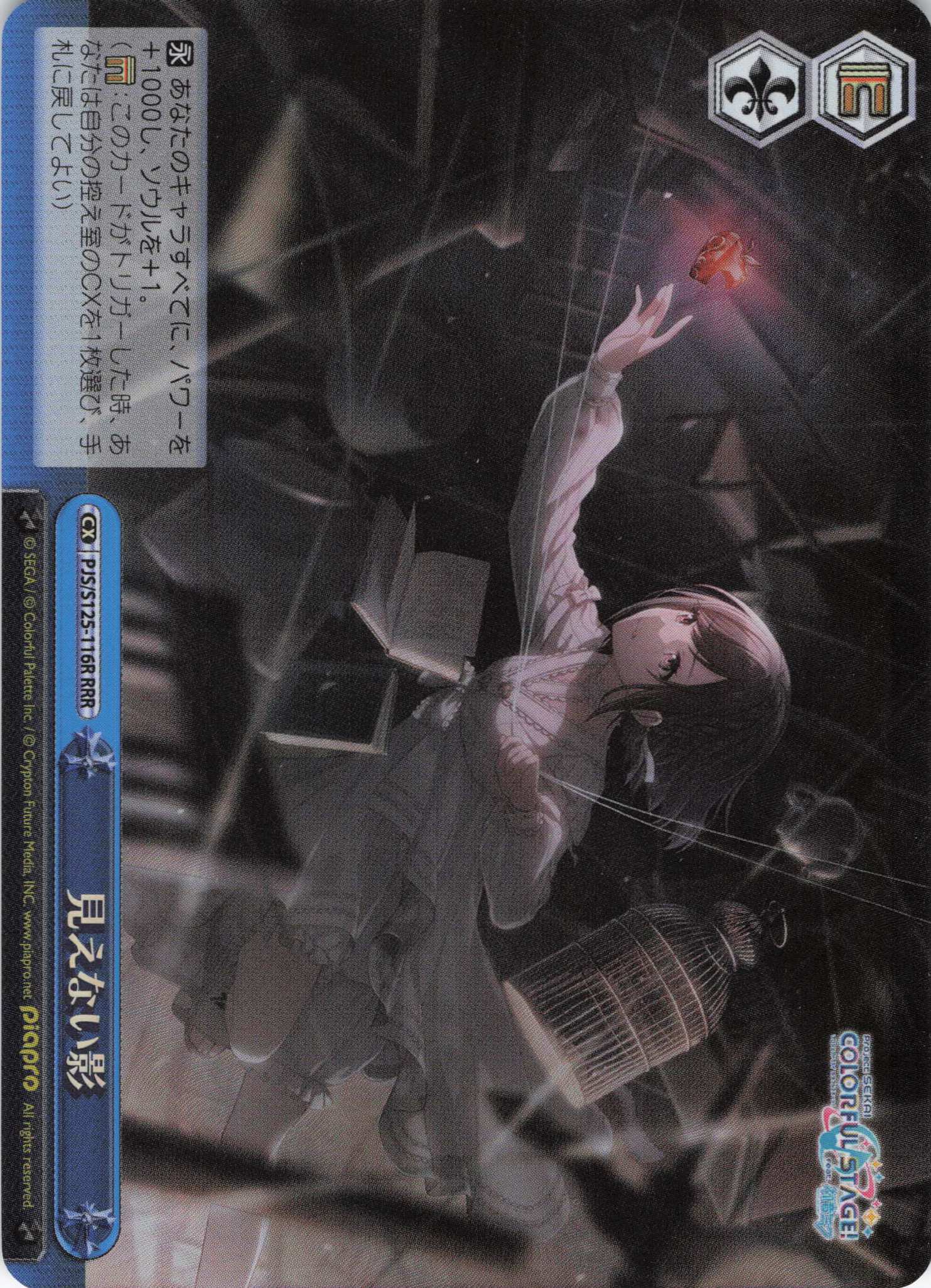 見えない影(RRR)(PJS/S125-116R)