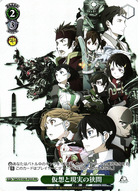 仮想と現実の狭間(SAO/S100-P03S)