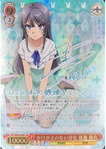 かけがえのない存在 桜島 麻衣【新裁断】(SEC)(SBY/W64-053SEC)