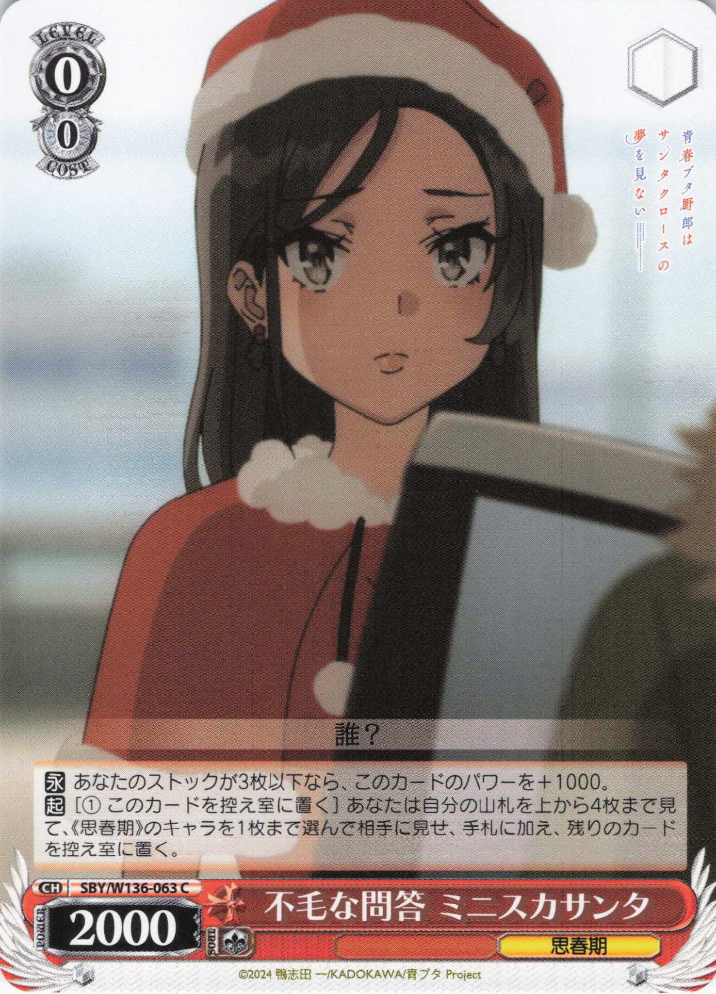 不毛な問答 ミニスカサンタ(C)(SBY/W136-063)