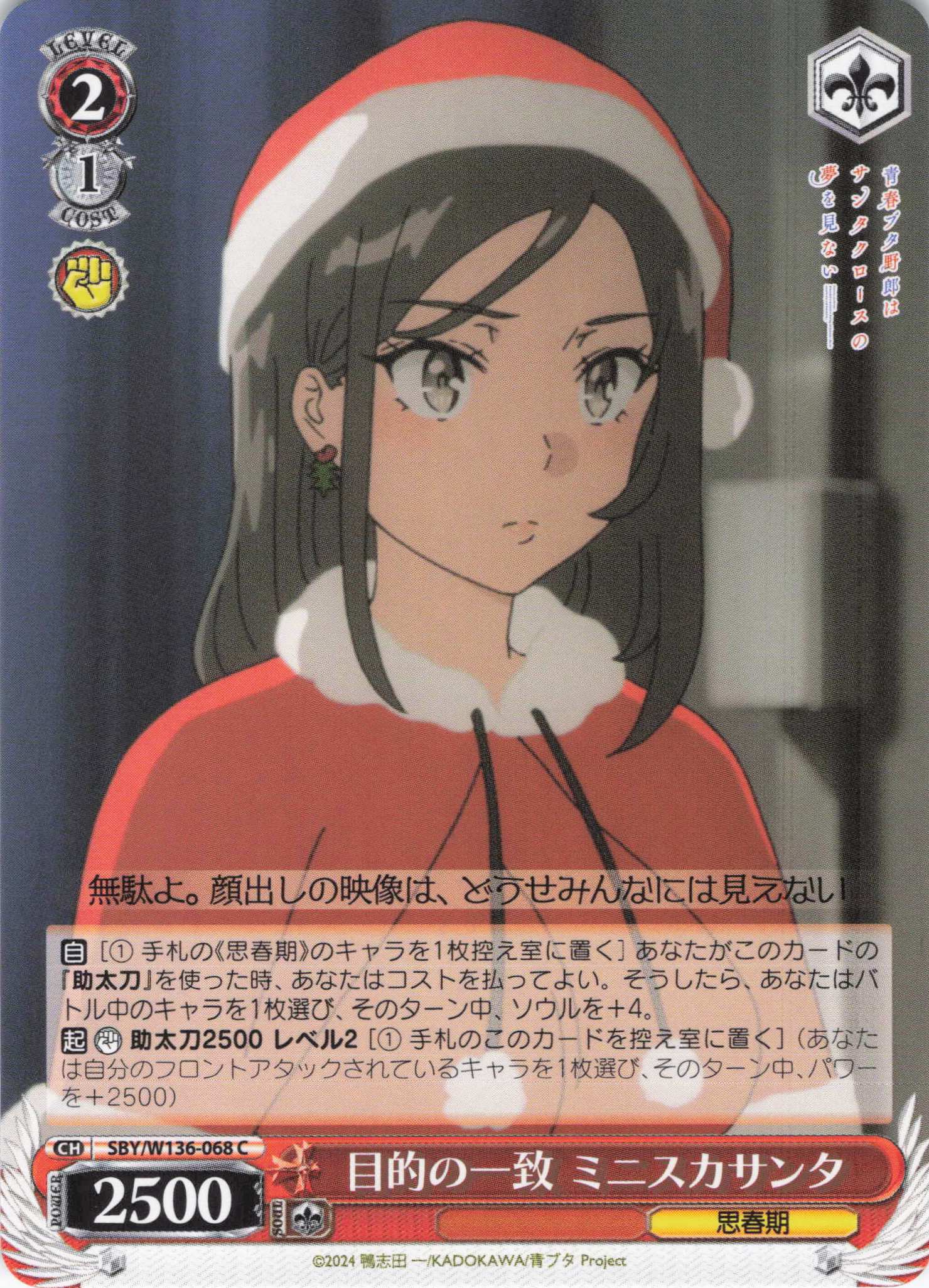 目的の一致 ミニスカサンタ(C)(SBY/W136-068)