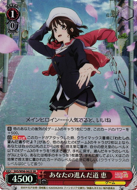 あなたの進んだ道 恵(SR)(SHS/W98-062S)