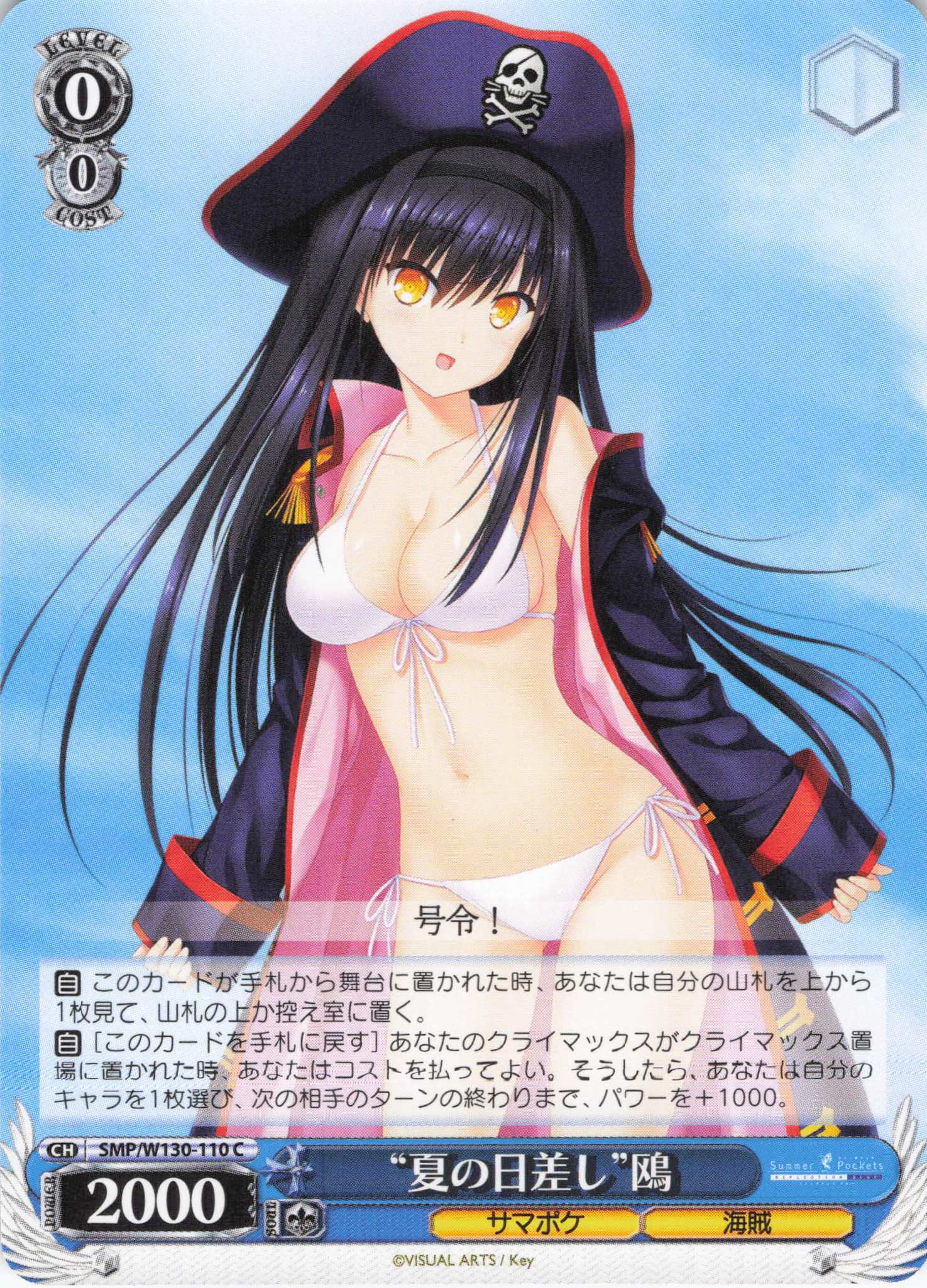 “夏の日差し”鴎(C)(SMP/W130-110)