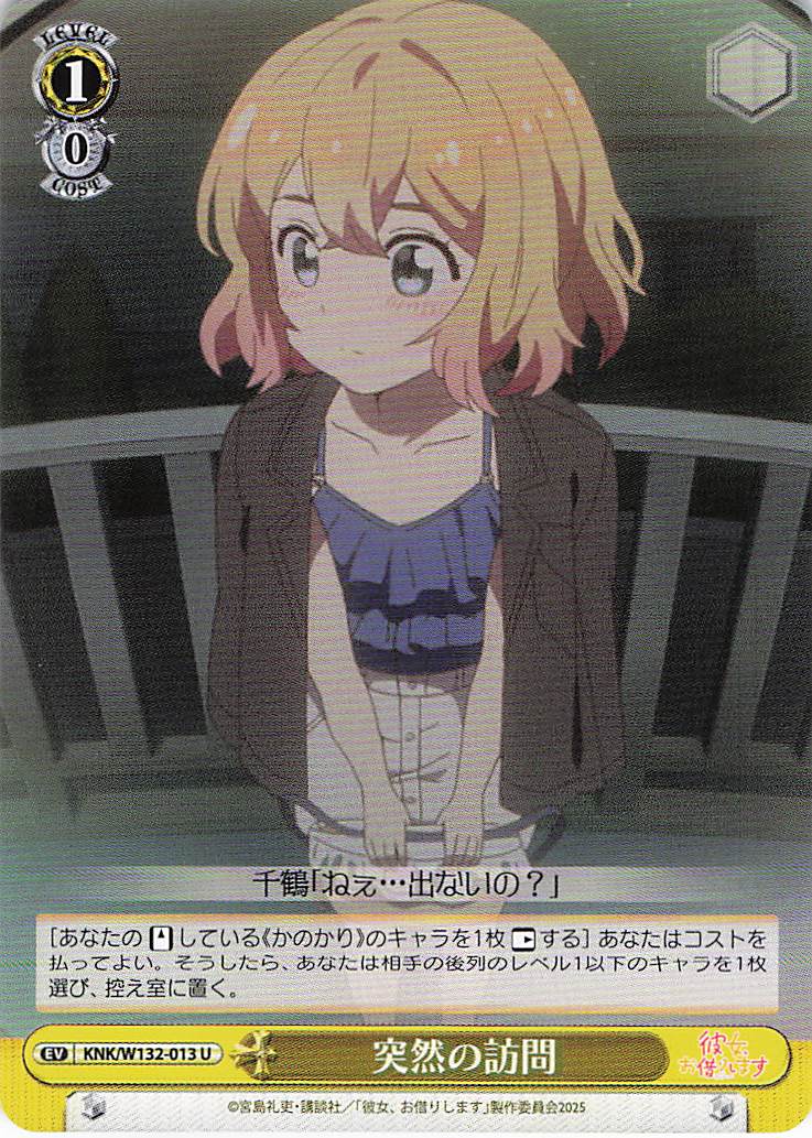 突然の訪問(U)(KNK/W132-013)