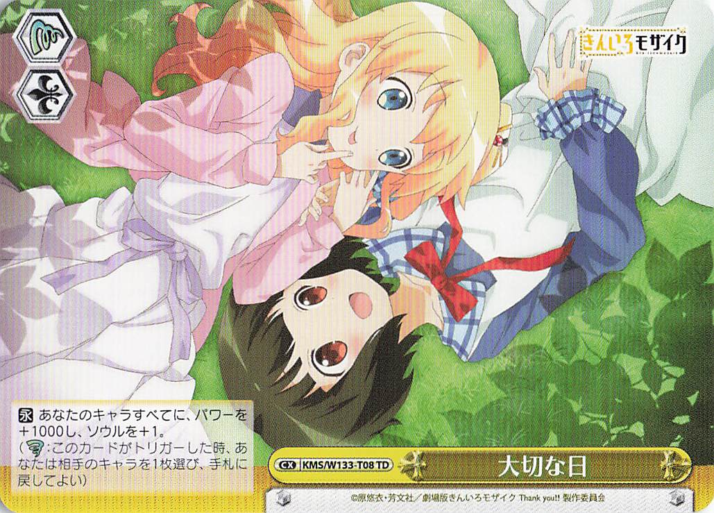 大切な日(TD)(KMS/W133-T08)